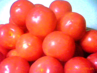 供应优稀水果—早红蜜李果树苗木水蜜桃三华李树苗