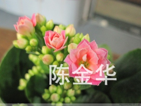 e11f531056f08b69c8bcc98bc571b6