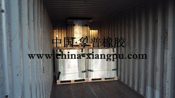 conew_sam_0247