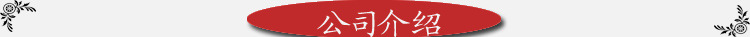公司介绍
