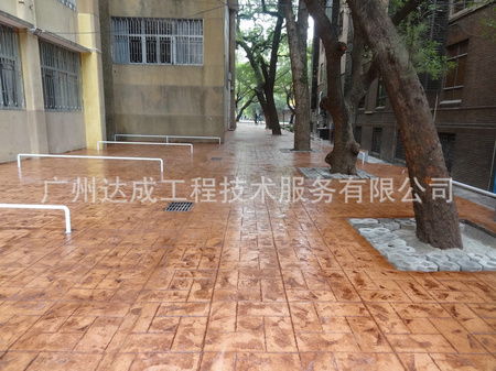 DSC04869