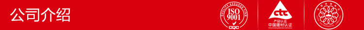 公司介绍