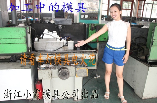 浙江小霞模具加工中的模具 (16)