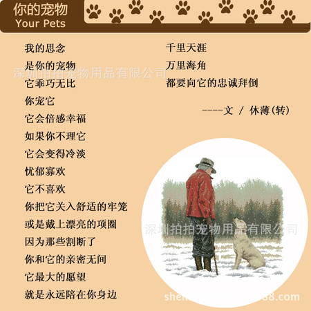 13-你的宠物