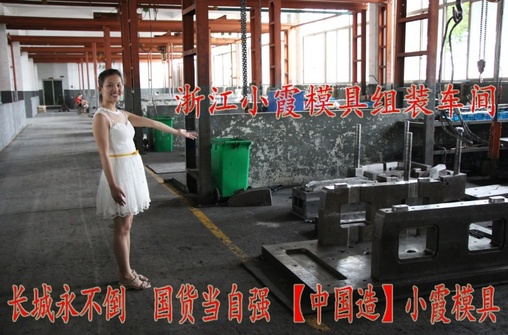 浙江小霞模具车间 (37)