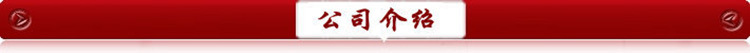 公司