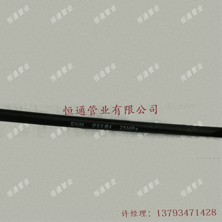 20120912104944554455