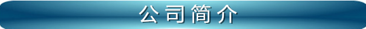 公司简介