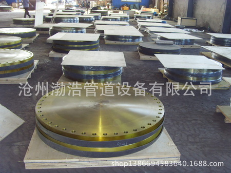 SDC18619