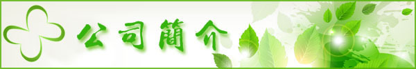 公司简介