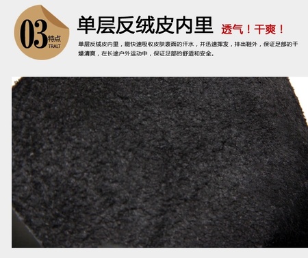 8.webp