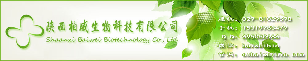 公司标题