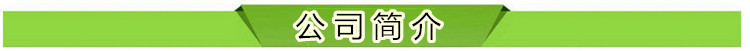 公司简介