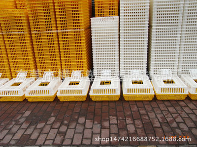 【塑丰】黄白配套 温氏养殖专用周转箱塑料鸡笼 运输成品塑料鸡笼