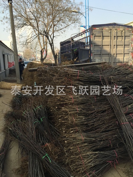 图片20160104112658