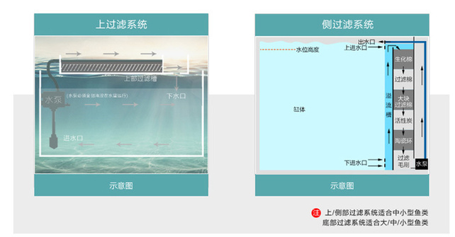 详情1_10