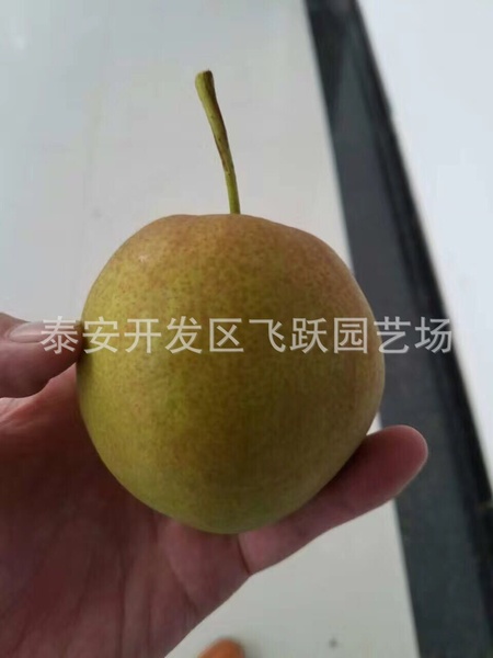 图片20160913135104