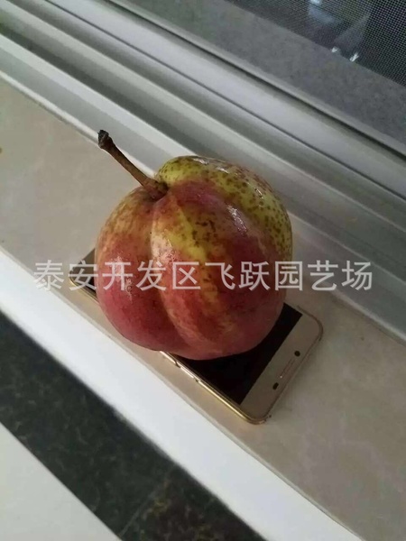 图片20160913135100