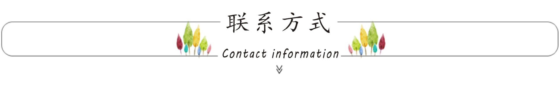 联系方式