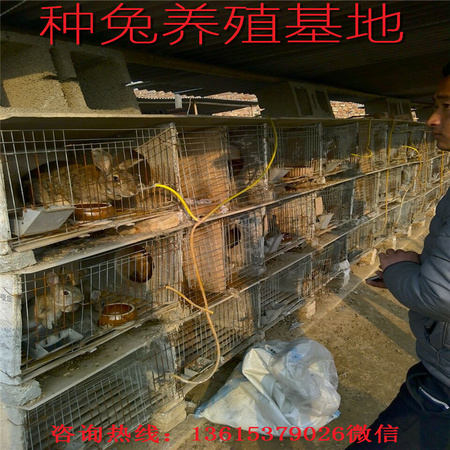 QQ图片20160110115444_副本
