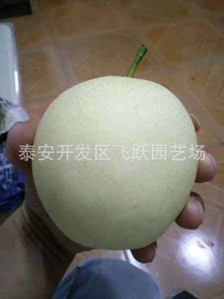 图片20160913130131