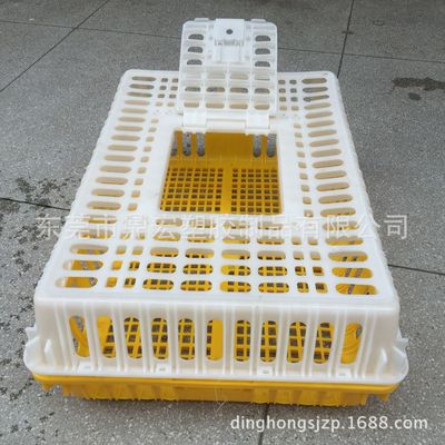 鼎宏塑胶厂直销浙江宁波 黄色白色塑料鸡笼 温氏养殖场运输周转笼