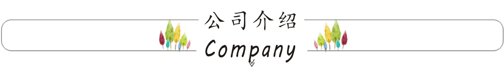 公司介绍