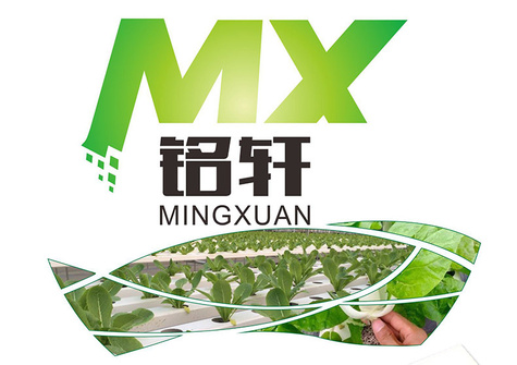 详情页排版_01