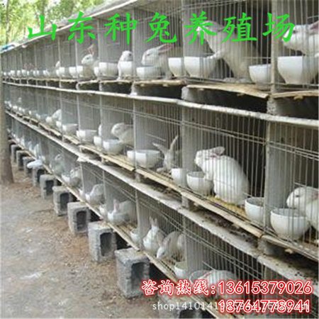 2 (20)_副本