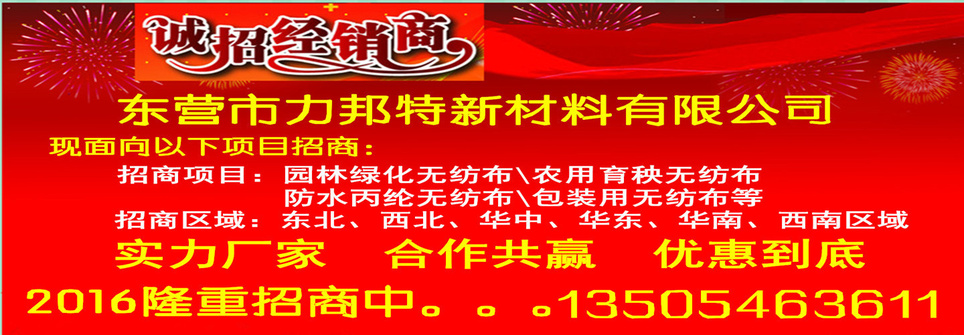 招商海报首页首张_副本