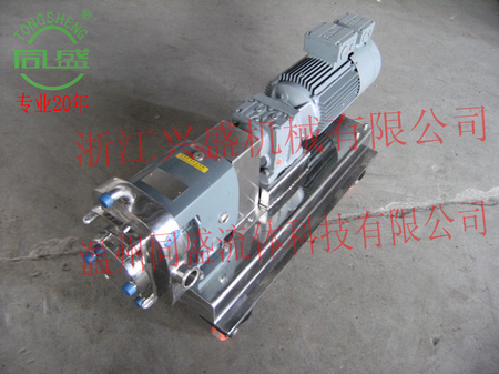 lobe pump with gear reducer