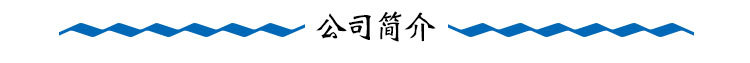 公司简介