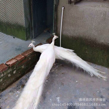 图片20170530124957_副本