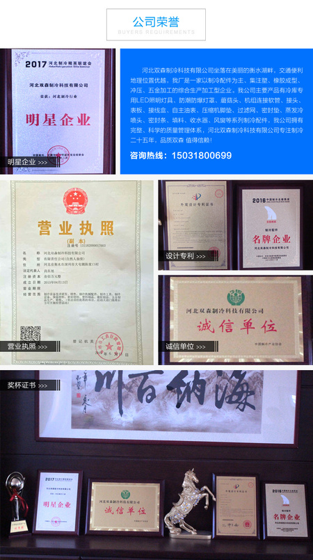 公司荣誉