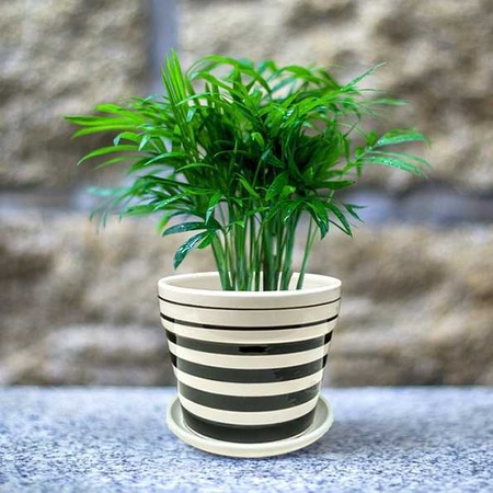 2345_image_file_copy_1