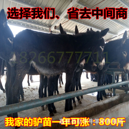 QQ图片20160303175812_副本