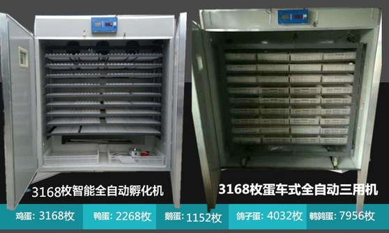 4278669015_585283768_副本 (2)