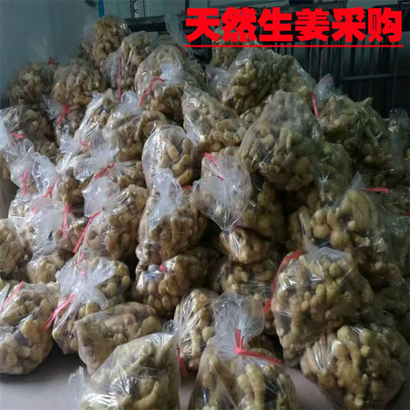 QQ图片20170622155047