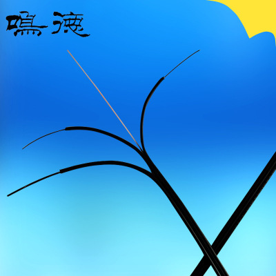 生产批发各种室内 室外皮线光缆 蝶形引入光缆 预制成端皮线光缆