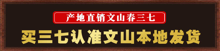 top1副本