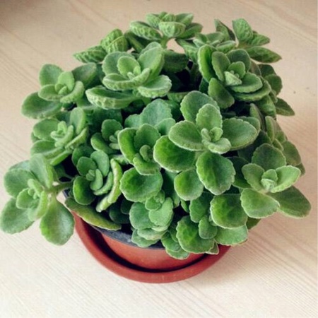 2345_image_file_copy_6
