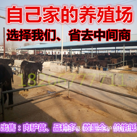 QQ图片20160303175809_副本