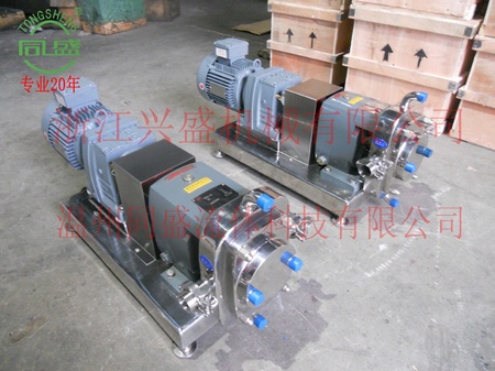ZB3A-20-1.5Kw 保温转子泵3