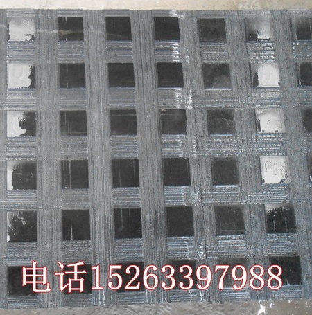 DSCN6689_副