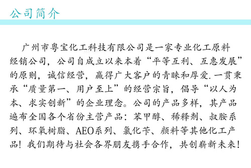 公司简介
