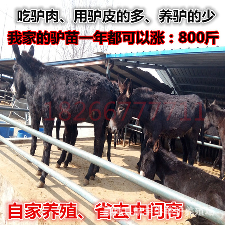 QQ图片20160303175739_副本