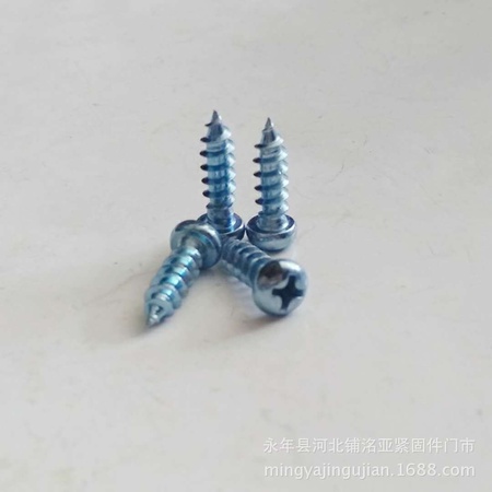 半圆头自攻丝5
