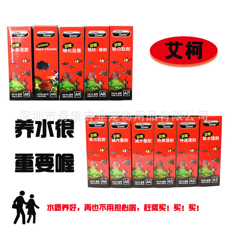 艾柯2