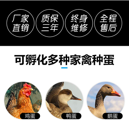 详情页_01