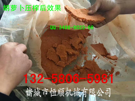 胡萝卜压榨效果42